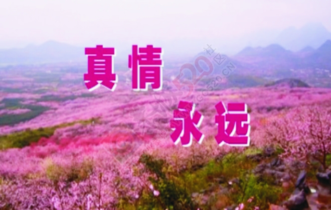 视频: 真情永远258 / 作者:时光倒流 / 帖子ID:128137