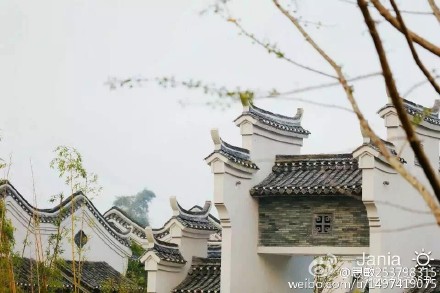 恭城秋深月柿红～～459 / 作者:桂花糕 / 帖子ID:128553