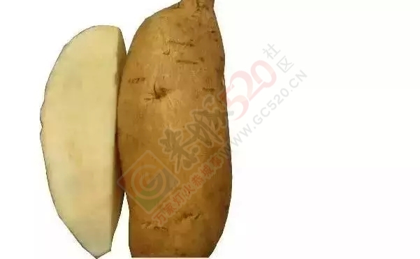 为什么要吃红薯，看后震惊了（一定要告诉家人！）198 / 作者:爱生活爱美食 / 帖子ID:159012