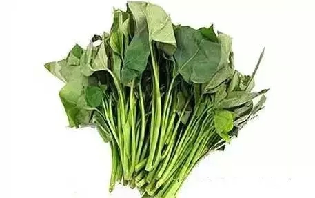 为什么要吃红薯，看后震惊了（一定要告诉家人！）55 / 作者:爱生活爱美食 / 帖子ID:159012