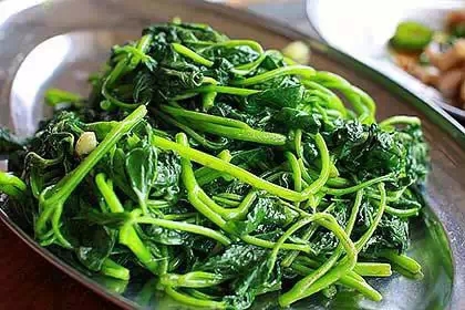 为什么要吃红薯，看后震惊了（一定要告诉家人！）945 / 作者:爱生活爱美食 / 帖子ID:159012