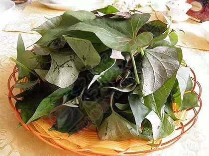 为什么要吃红薯，看后震惊了（一定要告诉家人！）324 / 作者:爱生活爱美食 / 帖子ID:159012