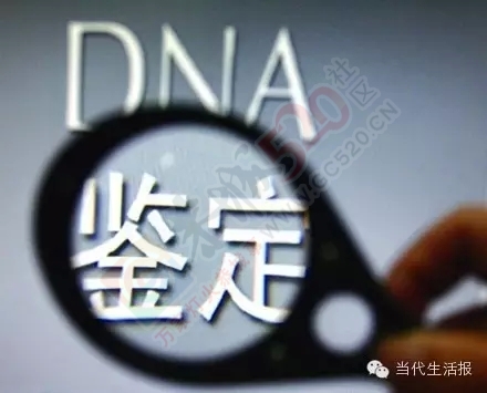 养了20多年的儿子， 竟然是隔壁老王的！275 / 作者:分叉路口 / 帖子ID:159365