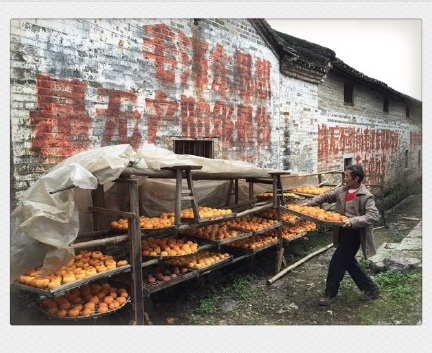 【历史的印记】一个风云动荡的红色年代，忆往昔峥嵘岁月稠——恭城363 / 作者:逢时 / 帖子ID:159540