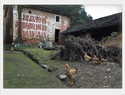 【历史的印记】一个风云动荡的红色年代，忆往昔峥嵘岁月稠——恭城12 / 作者:逢时 / 帖子ID:159540