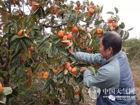 恭城告急！！！！！！！41 / 作者:微观恭城 / 帖子ID:159718