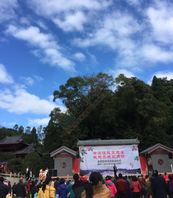 活动报道： 传递温暖正能量，我为恭城卖月柿之恭城站75 / 作者:恭城品华 / 帖子ID:159830