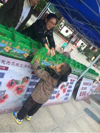 活动报道： 传递温暖正能量，我为恭城卖月柿之恭城站396 / 作者:恭城品华 / 帖子ID:159830