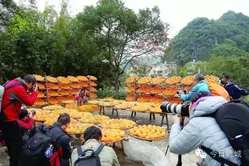 各种团队因全国第二次环境大会慕名前来门等村矮寨屯参观668 / 作者:风油精 / 帖子ID:159991