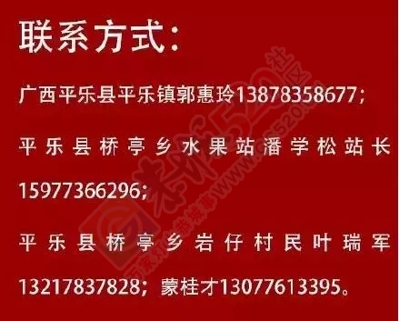 数万吨蜜桔柿子滞销烂在地里，广西水果怎么了？32 / 作者:渲染人生 / 帖子ID:160120