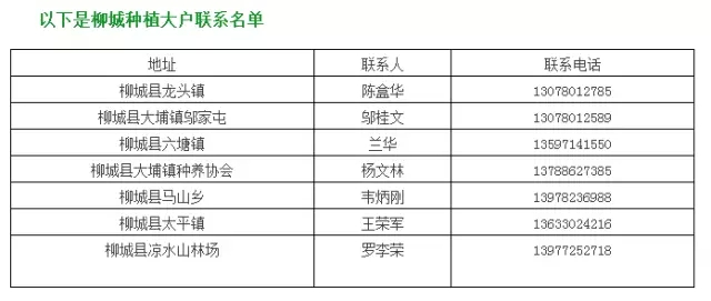 数万吨蜜桔柿子滞销烂在地里，广西水果怎么了？567 / 作者:渲染人生 / 帖子ID:160120