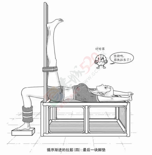 轻松学会拉筋法，打开全身经络，驱邪散寒，治百病，强身健体！498 / 作者:人艰不拆 / 帖子ID:160196