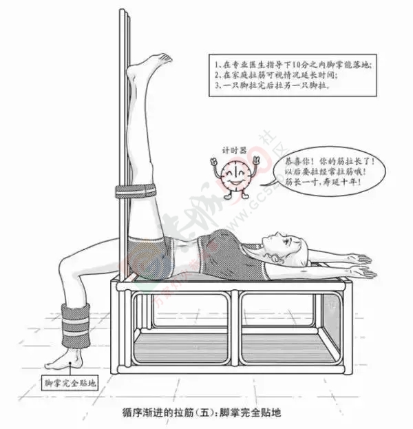轻松学会拉筋法，打开全身经络，驱邪散寒，治百病，强身健体！338 / 作者:人艰不拆 / 帖子ID:160196