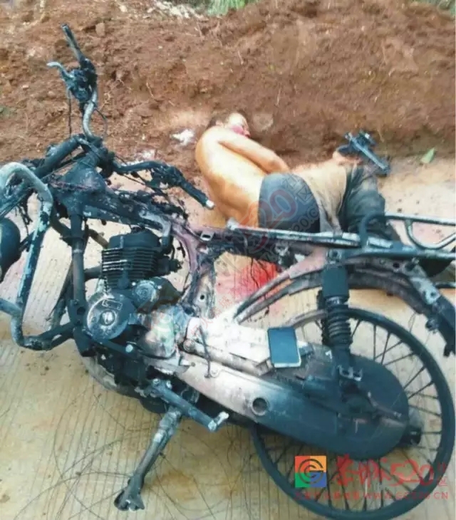 莲花罗带村：偷狗贼入村偷狗被活活打死！185 / 作者:社区小编 / 帖子ID:160405