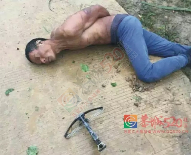 莲花罗带村：偷狗贼入村偷狗被活活打死！984 / 作者:社区小编 / 帖子ID:160405