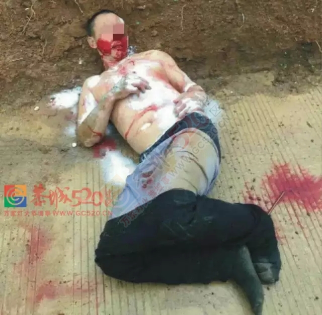 莲花罗带村：偷狗贼入村偷狗被活活打死！692 / 作者:社区小编 / 帖子ID:160405