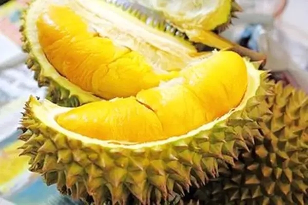恭城家长们注意，十大“催熟”孩子的食物黑名单！最后一样，有的小孩天天都在吃！770 / 作者:深秋的落叶 / 帖子ID:160578