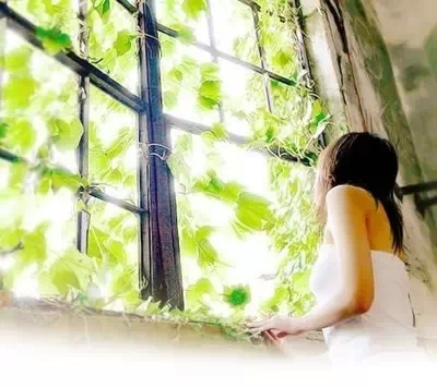 全球公认的最健康作息时间表！287 / 作者:人艰不拆 / 帖子ID:160707
