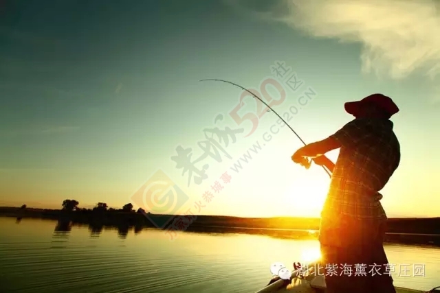 快来钓鱼吧！118 / 作者:兔兔呀 / 帖子ID:160773