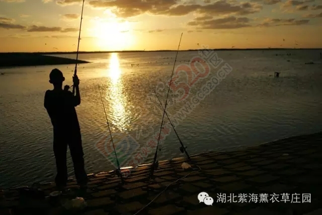 快来钓鱼吧！405 / 作者:兔兔呀 / 帖子ID:160773