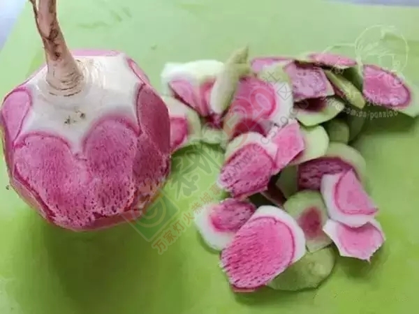 萝卜皮贴肚脐，奇迹出现了.993 / 作者:认错认怂不认输 / 帖子ID:161475