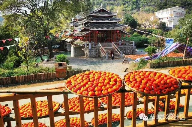 生活在恭城20年，恭城妹崽有话讲.....928 / 作者:深秋的落叶 / 帖子ID:161743
