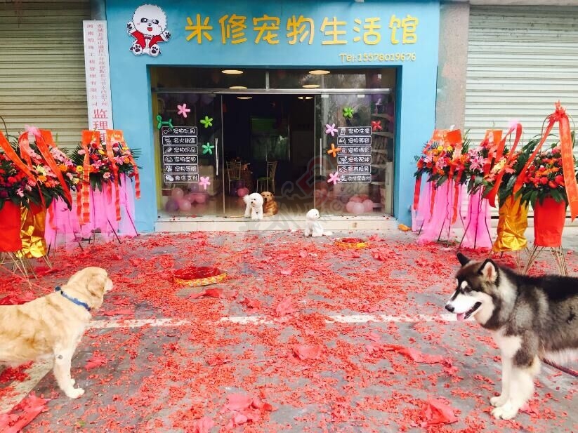 号外号外~米修宠物生活馆开业啦136 / 作者:米修宠物生活馆 / 帖子ID:161854