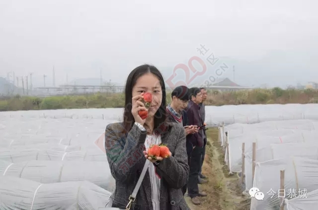 【小把爷假期好耍咯】恭城高铁站进站路旁有你好看！646 / 作者:社区小编 / 帖子ID:161861