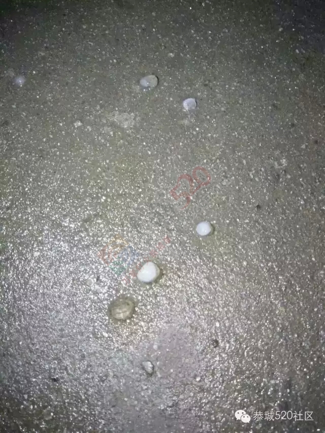 恭城怎么了？早上大雾晚上冰雹，还能不能好好活着嘛！441 / 作者:深秋的落叶 / 帖子ID:161862