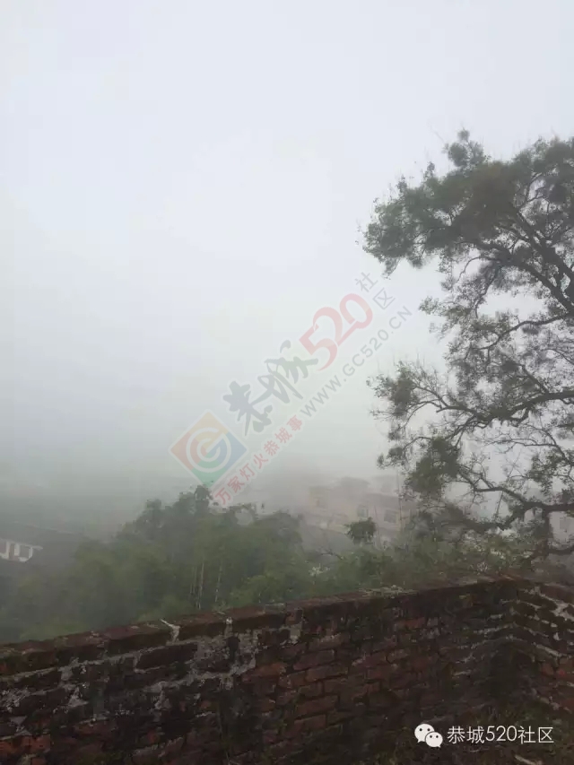 恭城怎么了？早上大雾晚上冰雹，还能不能好好活着嘛！537 / 作者:深秋的落叶 / 帖子ID:161862