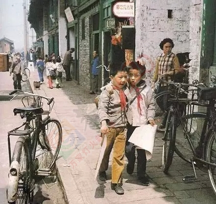 50后60后70后80后90后00后，一个比一个无奈，写得真好！980 / 作者:深秋的落叶 / 帖子ID:161864