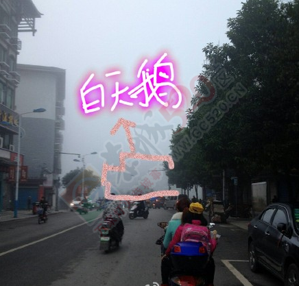 昨天的这个雾大19 / 作者:thkfh / 帖子ID:161875