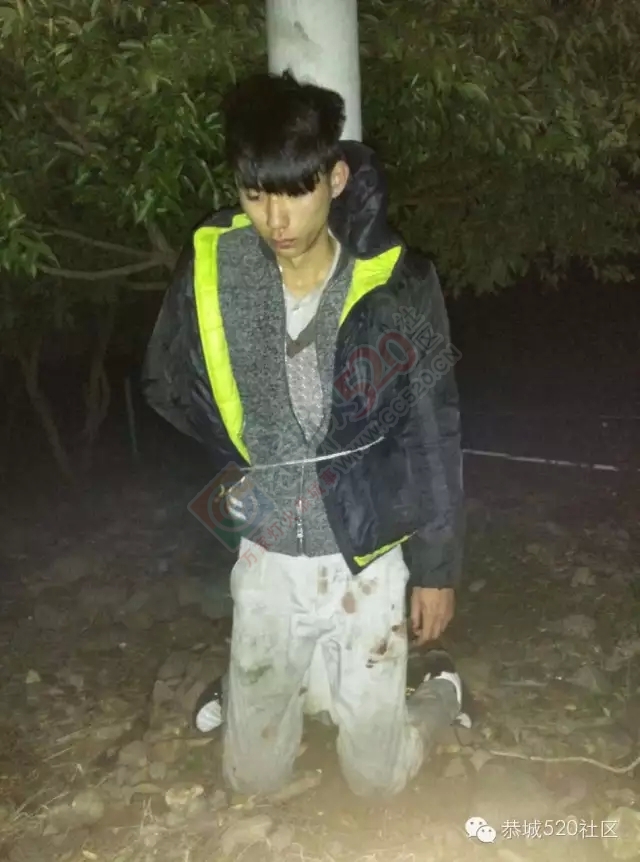 【突发】恭城莲花蛟津塘偷羊贼今日凌晨在平安桐竹村被抓获，村民困惑了，打还是不打呢570 / 作者:深秋的落叶 / 帖子ID:162187