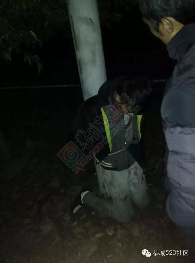 【突发】恭城莲花蛟津塘偷羊贼今日凌晨在平安桐竹村被抓获，村民困惑了，打还是不打呢774 / 作者:深秋的落叶 / 帖子ID:162187