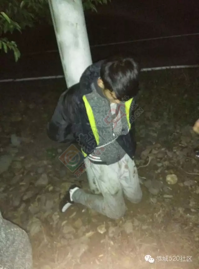 【突发】恭城莲花蛟津塘偷羊贼今日凌晨在平安桐竹村被抓获，村民困惑了，打还是不打呢398 / 作者:深秋的落叶 / 帖子ID:162187
