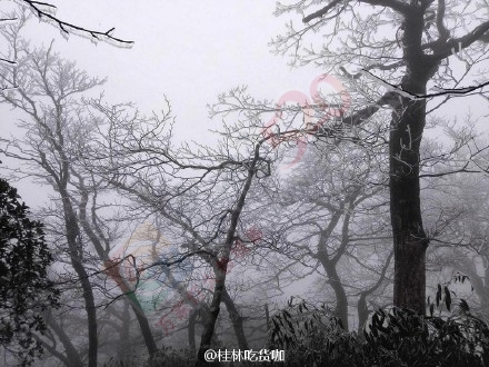 恭城燕子山也有雾凇啦！8 / 作者:逢时 / 帖子ID:162546
