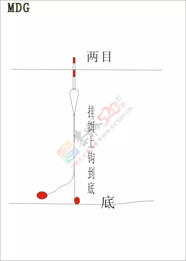 下午半天在滨江苑码头钓的渔获101 / 作者:小绿 / 帖子ID:162554