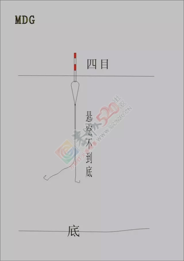 下午半天在滨江苑码头钓的渔获971 / 作者:小绿 / 帖子ID:162554