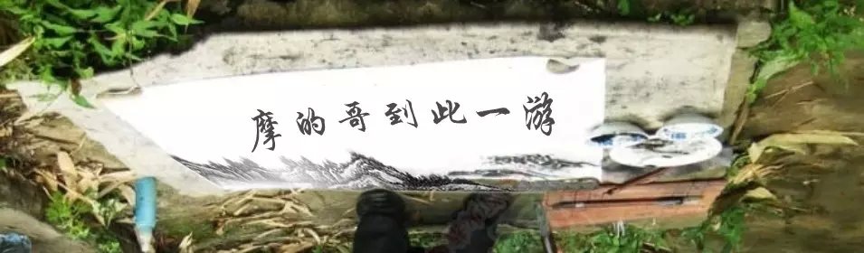 下午半天在滨江苑码头钓的渔获900 / 作者:小绿 / 帖子ID:162554