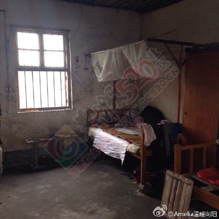 恭城栗木五福村孤寡老人调查752 / 作者:猫小萌 / 帖子ID:162568