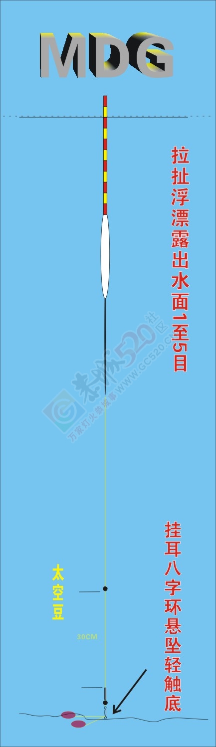 下午半天在滨江苑码头钓的渔获750 / 作者:小绿 / 帖子ID:162554