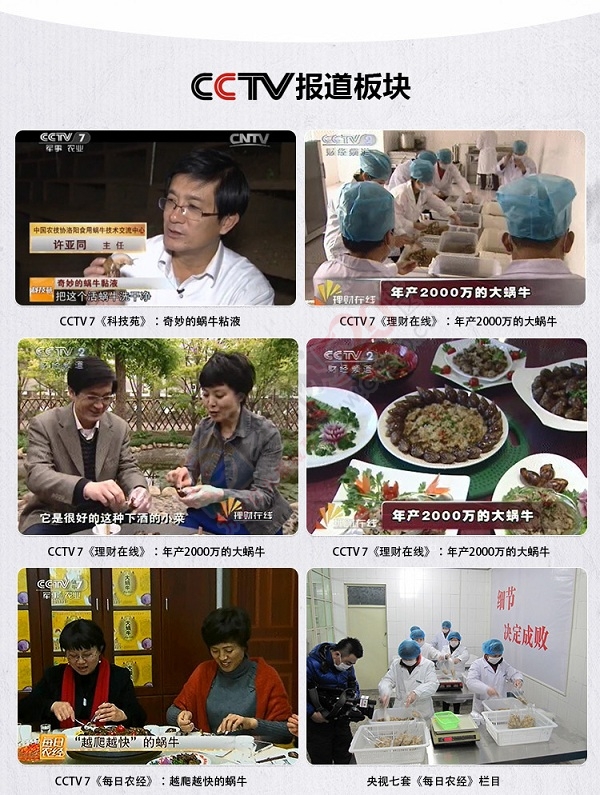 21世纪新奇特礼品——白玉蜗牛肉大礼盒289 / 作者:绿尔农业科技 / 帖子ID:162690