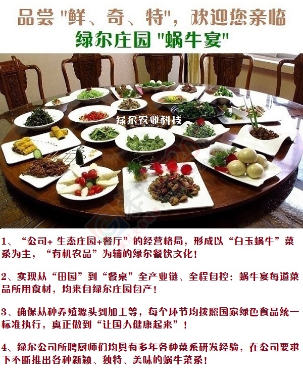 21世纪新奇特礼品——白玉蜗牛肉大礼盒602 / 作者:绿尔农业科技 / 帖子ID:162690
