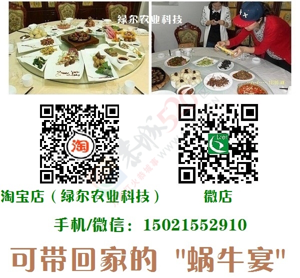 21世纪新奇特礼品——白玉蜗牛肉大礼盒161 / 作者:绿尔农业科技 / 帖子ID:162690