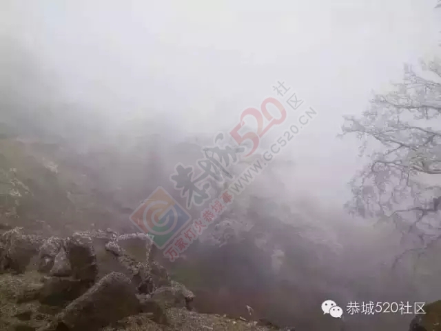 恭城下雪啦，可惜来得快去得也快呀！724 / 作者:深秋的落叶 / 帖子ID:162696