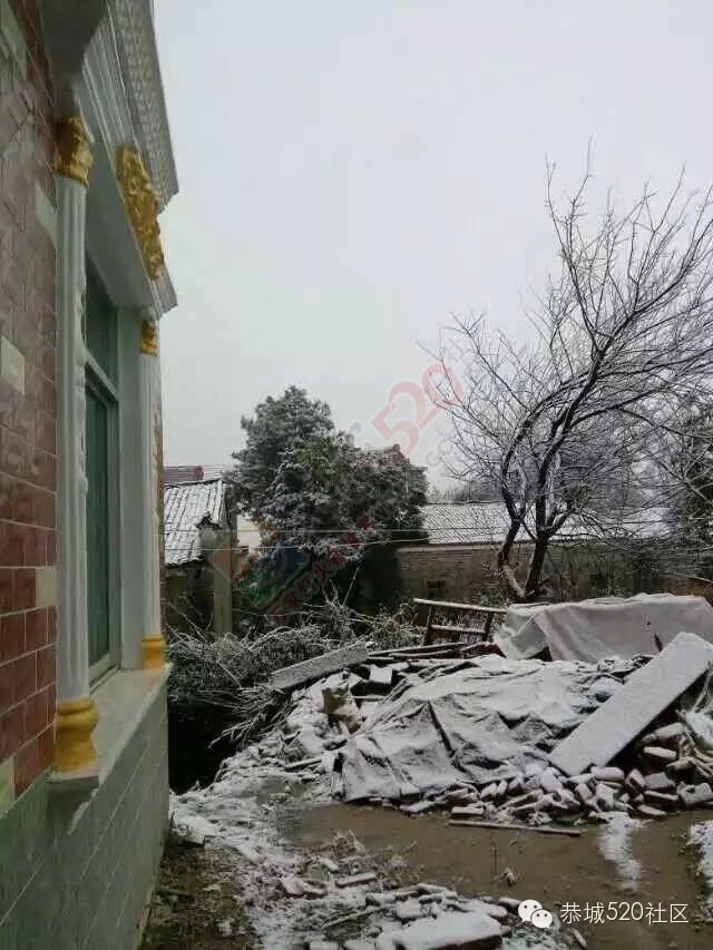 恭城下雪啦，可惜来得快去得也快呀！328 / 作者:深秋的落叶 / 帖子ID:162696