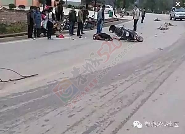 莲花车祸，电瓶车大妈被狗古冲撞翻；龙虎车祸，狗古冲不敌大货车686 / 作者:深秋的落叶 / 帖子ID:162697