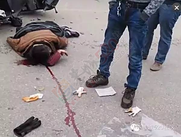 莲花车祸，电瓶车大妈被狗古冲撞翻；龙虎车祸，狗古冲不敌大货车223 / 作者:深秋的落叶 / 帖子ID:162697