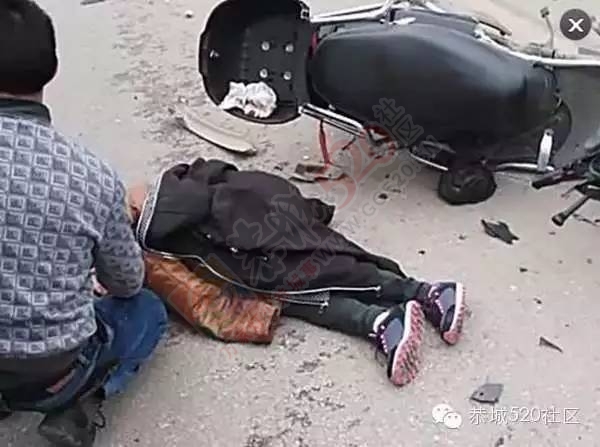 莲花车祸，电瓶车大妈被狗古冲撞翻；龙虎车祸，狗古冲不敌大货车953 / 作者:深秋的落叶 / 帖子ID:162697