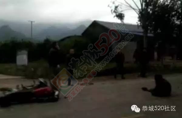 莲花车祸，电瓶车大妈被狗古冲撞翻；龙虎车祸，狗古冲不敌大货车810 / 作者:深秋的落叶 / 帖子ID:162697